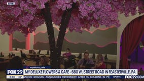 My Deluxe Flowers & Cafe