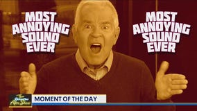 Moment of the Day: Dolphin Noises