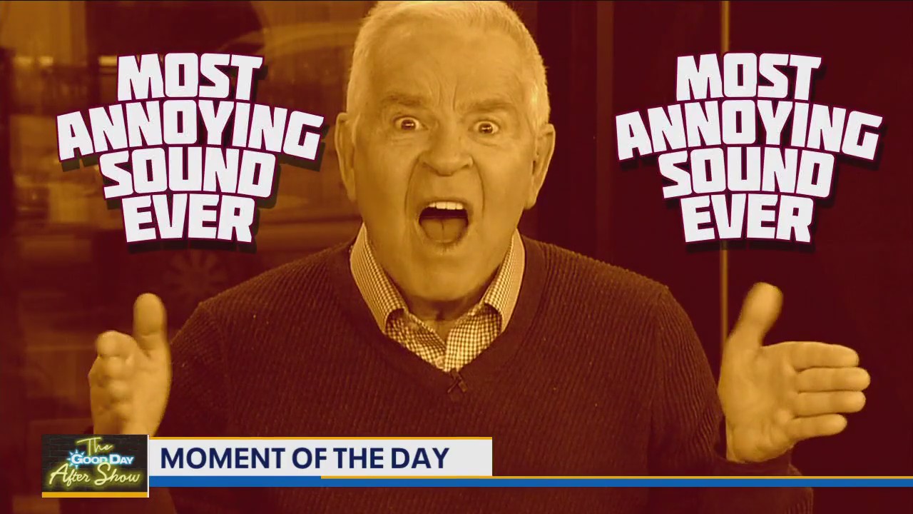 Moment of the Day: Dolphin Noises