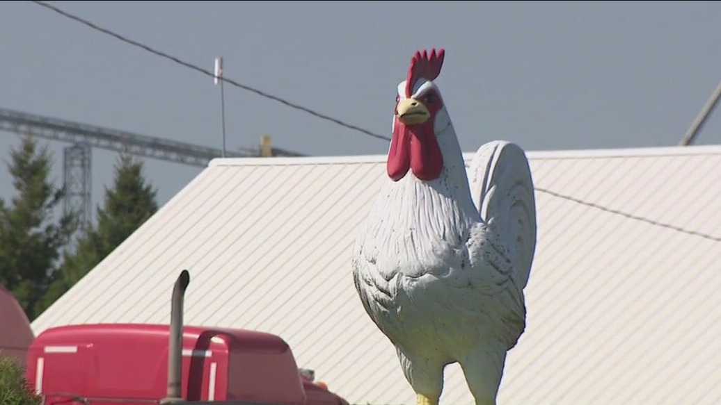 Bird flu confirmed in commercial poultry flock | FOX6 Milwaukee