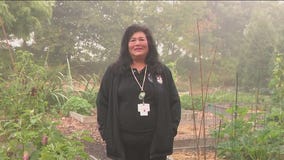 Native Wellness Garden in Milwaukee