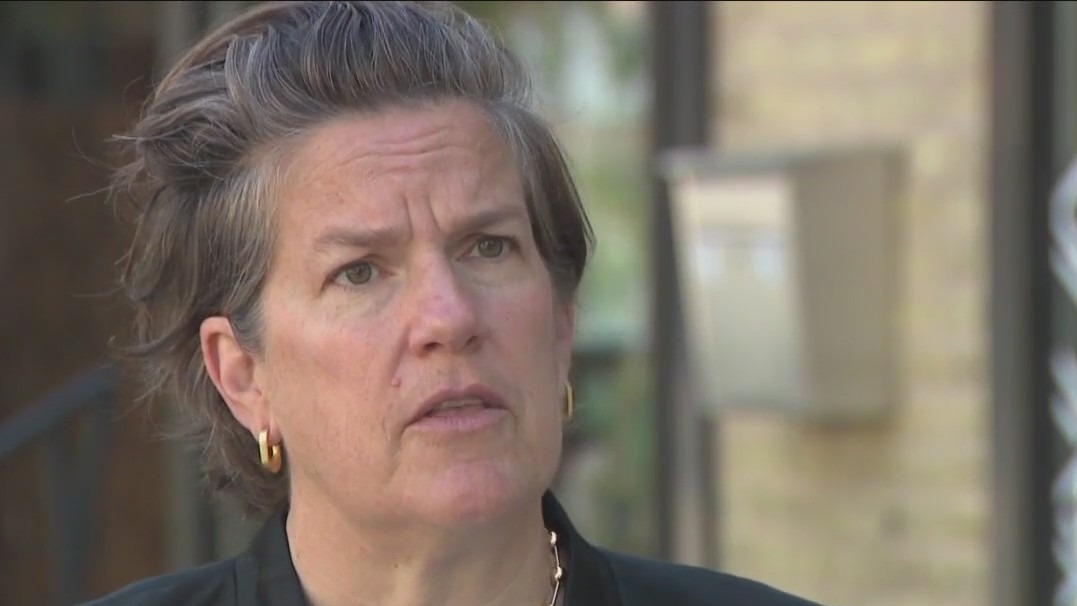 Wisconsin governor race: Democrat Missy Hughes launches bid