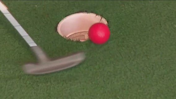 Activities that will be offered