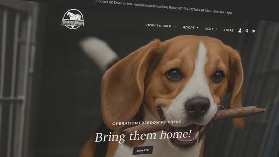Wisconsin dog breeding farm faces scrutiny; activists push for action