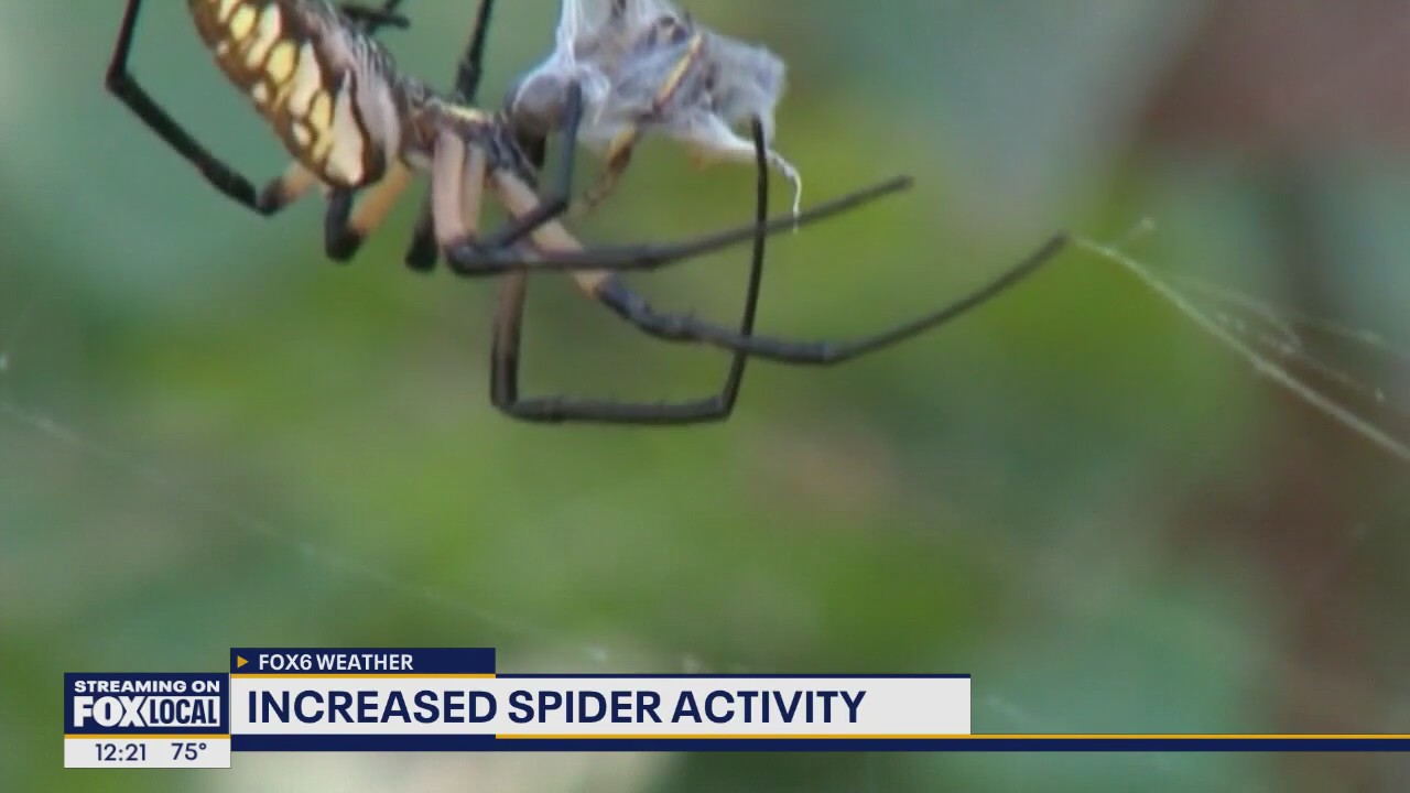 Wisconsin Weather Experts | Sept. 29, 2025