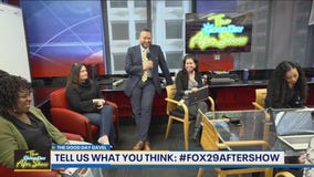 Good Day Gavel: New Cat for Mom