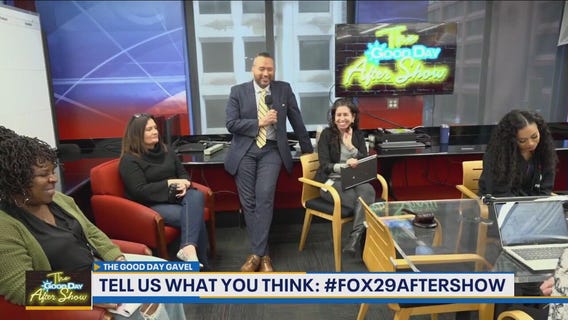 Good Day Gavel: New Cat for Mom