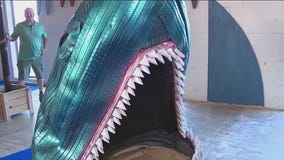 Big Putts perfect for family and work outings