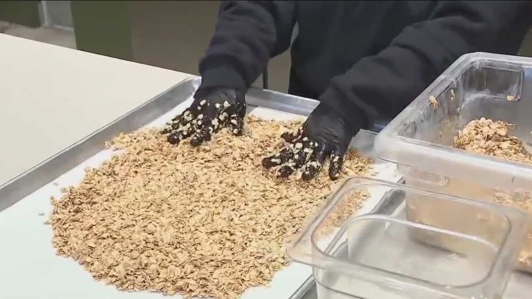 Elixir Cafe & Juicery's signature granola