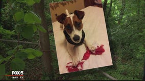 Dog killed by coyote in Fairfax County