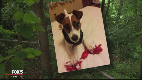 Dog killed by coyote in Fairfax County