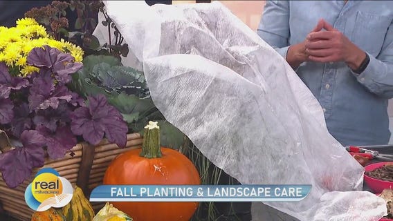 Tips for fall planting & landscape care