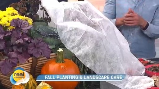 Real Milwaukee | October 7, 2025