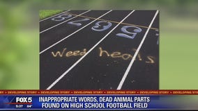 Prince William County high school vandalized with spray paint, dead animal parts