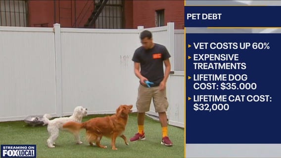 Cut down on pet debt