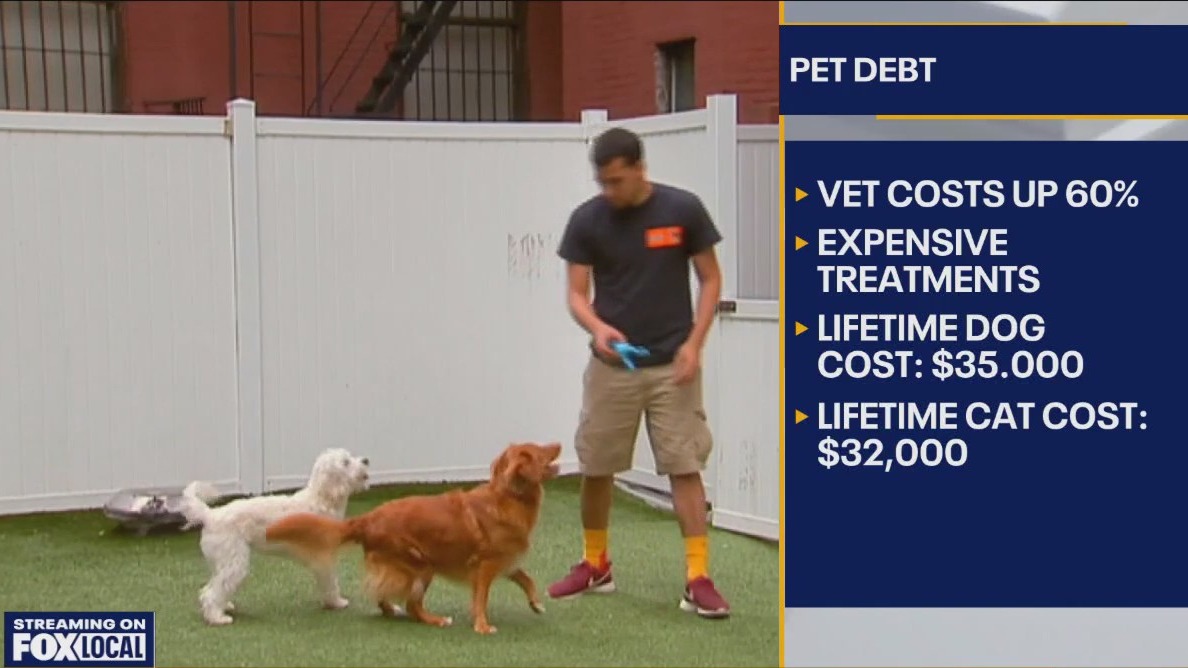 Cut down on pet debt