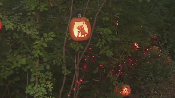 The Hollows at Phantom Lake YMCA Camp