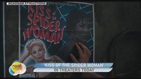 'Kiss of the Spider Woman'; Gino at the Movies