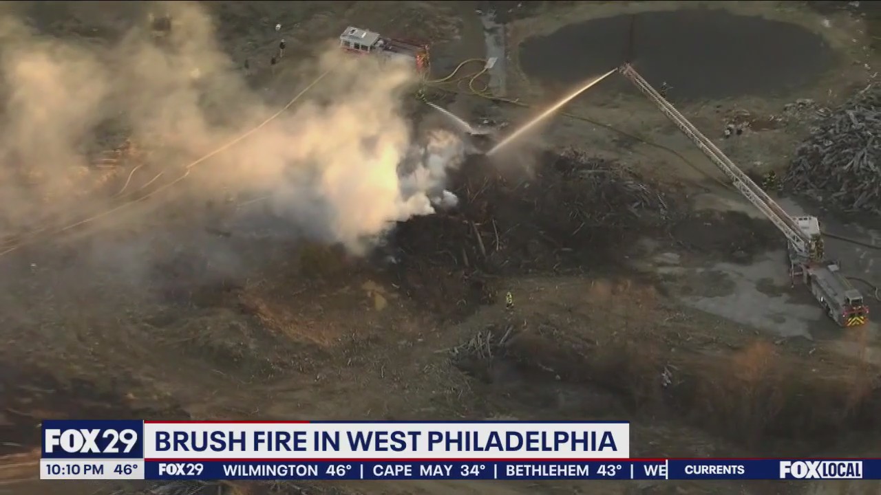 Brush fire in West Philly prompts large response