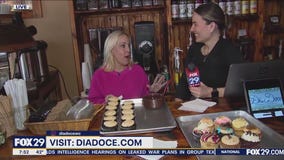 Creative Cupcake Connoisseurs