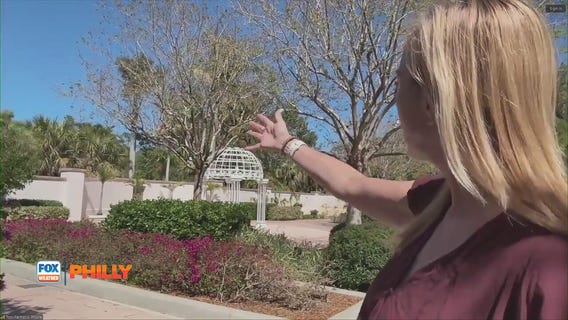 Tuesdays with Toni | Helping trees, shrubs recover from drought