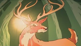 New large scale?mural at Explorium Distilled