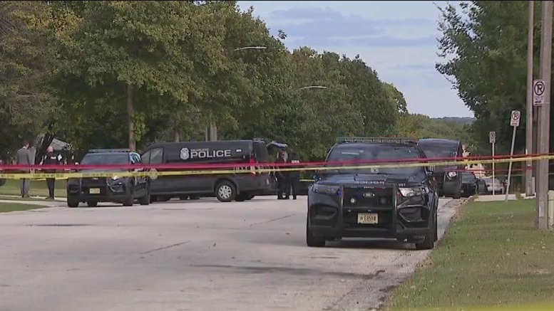 Daughter accused of killing mother with rock