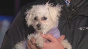 Brewers fan 'Maggie' gives fans hope amid Game 2