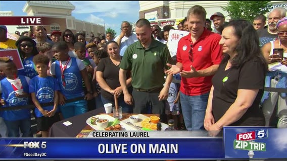 Laurel | Zip Trip: Olive On Main