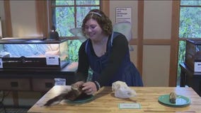 Learning about creepy critters