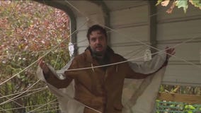 Learning more about Halloween animals