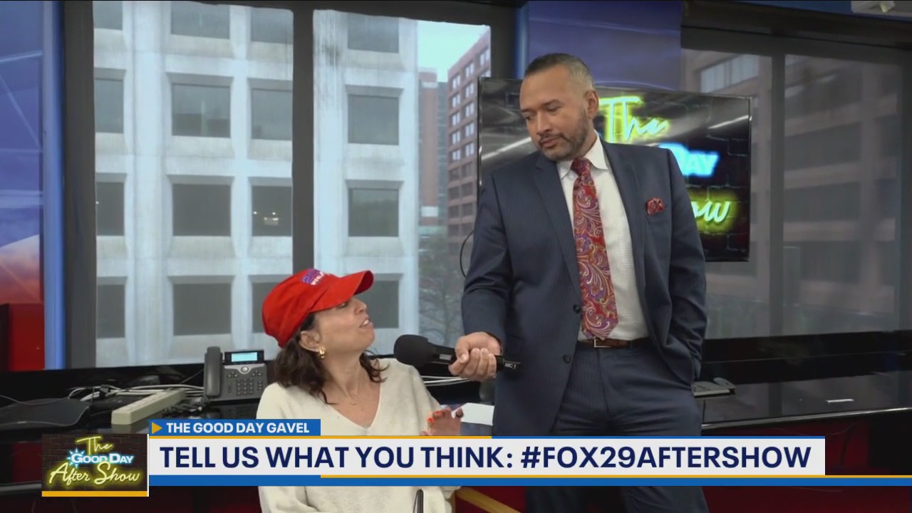 Good Day Gavel: Baseball Fan Etiquette