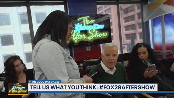 Good Day Gavel: Dog on an Airplane