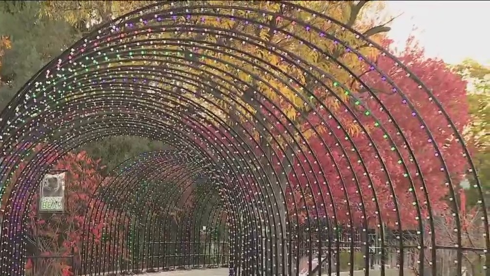 Halloween time at the Zoo