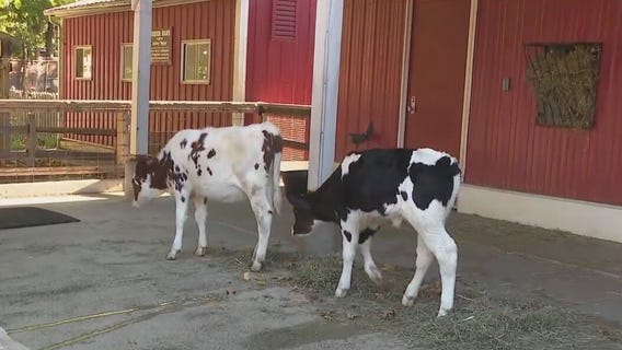 Animals at Milwaukee County Zoo