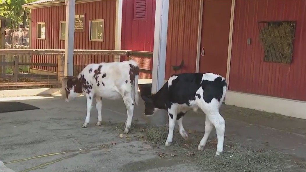 Animals at Milwaukee County Zoo