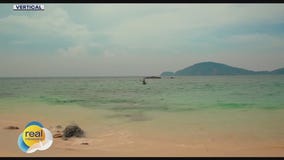 'Last Days'; Gino at the Movies