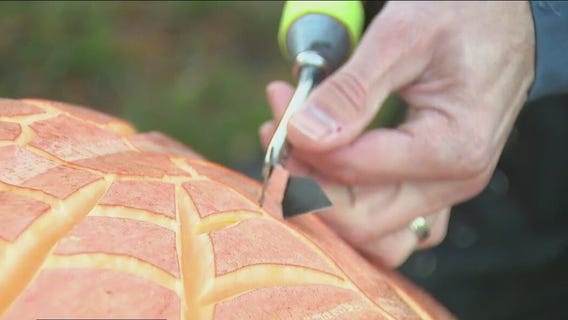 Meet a professional pumpkin carver