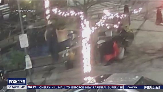 Surveillance video captures vandals remove South Philly yarn bomb display