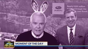 Moment of the Day: Easter Egg Hunt