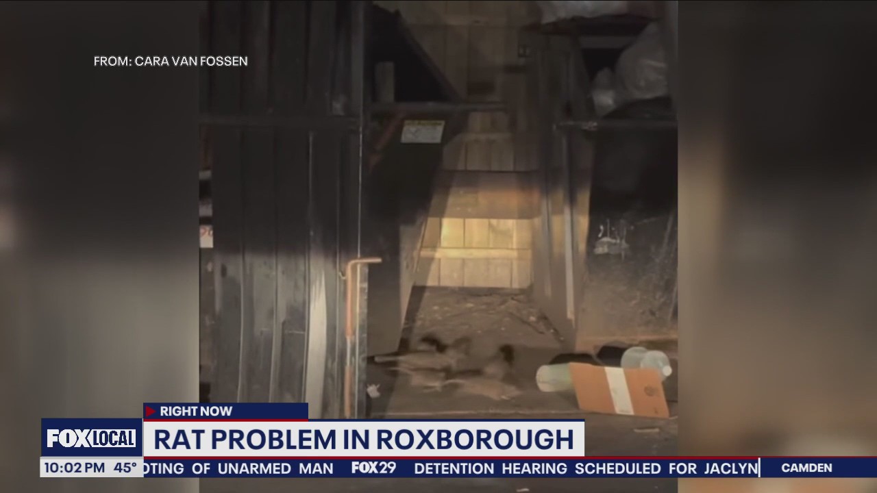 Phoenix Oh Rats Rats in Philly neighborhood creating frustration among neighbors | FOX ...