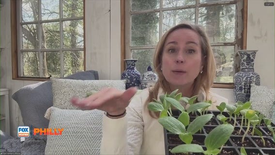 Tuesdays with Toni | Protecting plants from upcoming frost, freeze