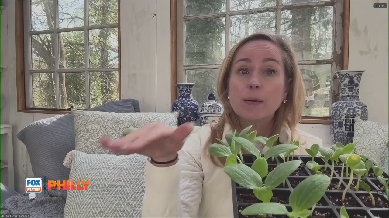 Tuesdays with Toni | Protecting plants from upcoming frost, freeze