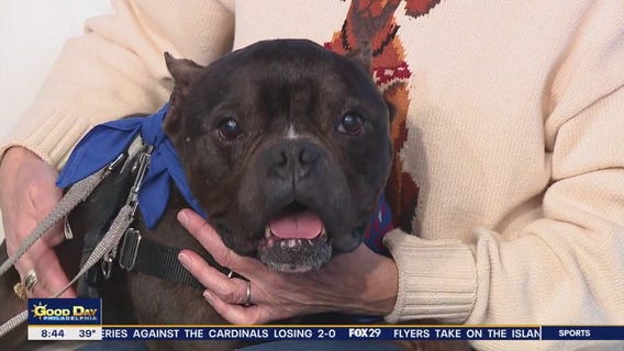 Rescue Me | Meet Toot