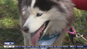 Rescue Me | Meet Chanel