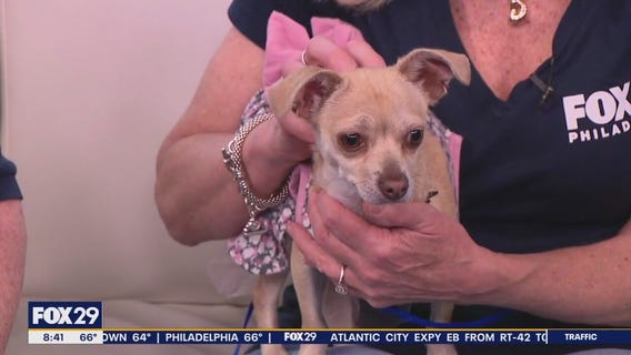 Rescue Me | Meet Delores