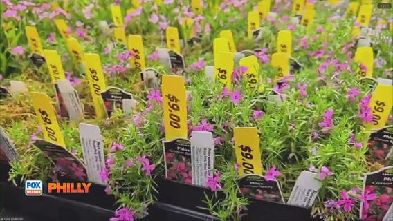 Native plants at Brandywine Museum of Art | FOX Weather Philly