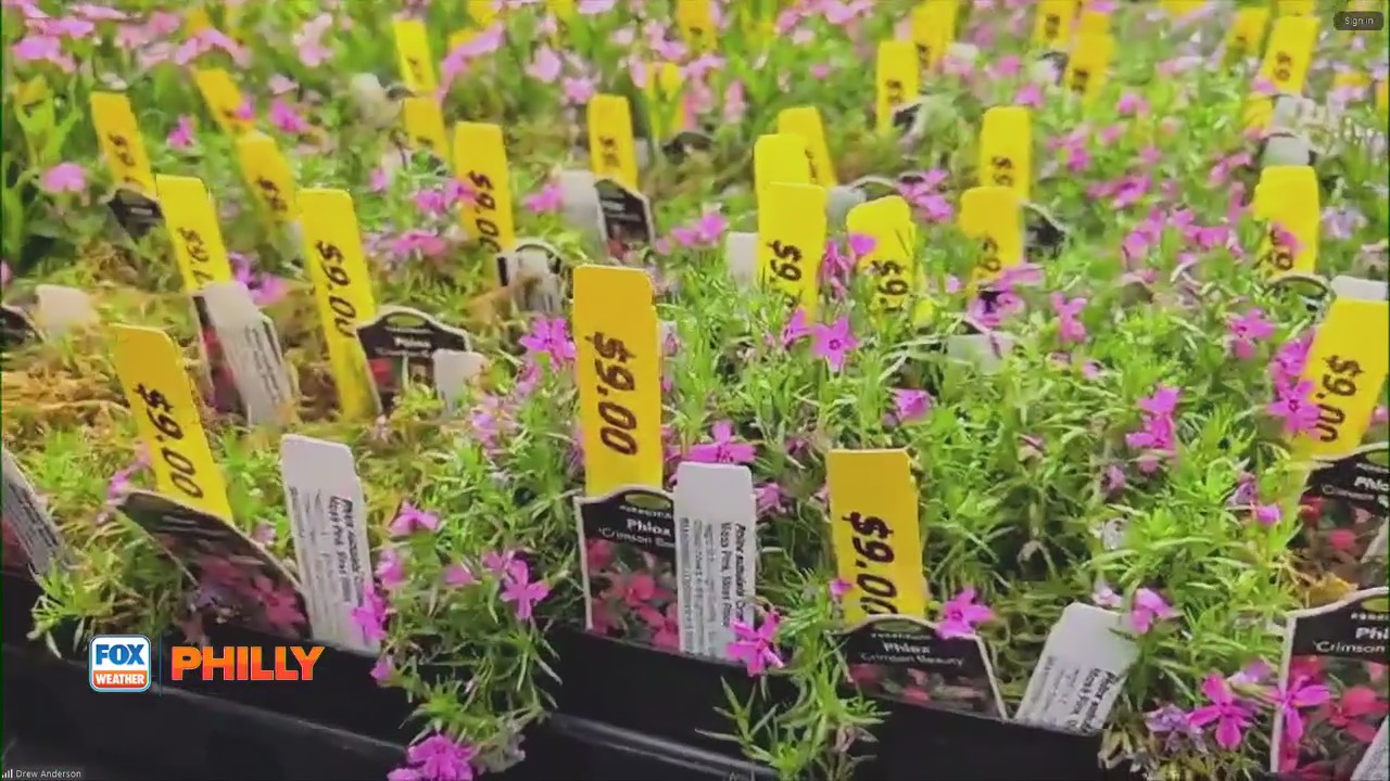 Native plants at Brandywine Museum of Art | FOX Weather Philly