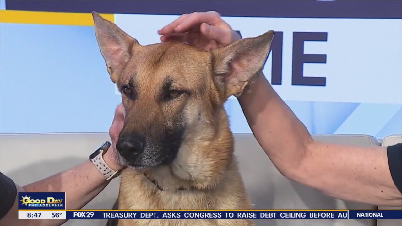 Rescue Me | Meet Tokyo Drift