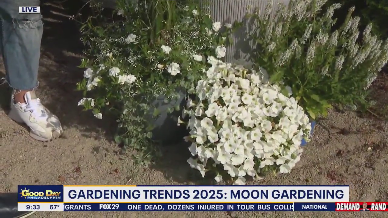 Gardening Trends 2025